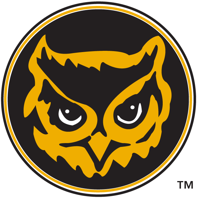 Kennesaw State Owls 1992-2011 Alternate Logo iron on transfers for T-shirts